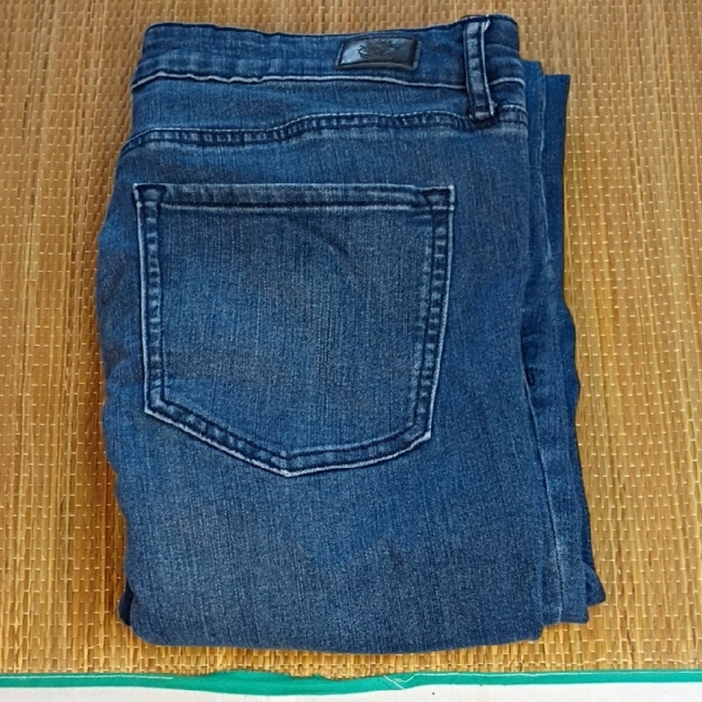 Dark Blue Flare Denim Jeans By Sofia Vergara